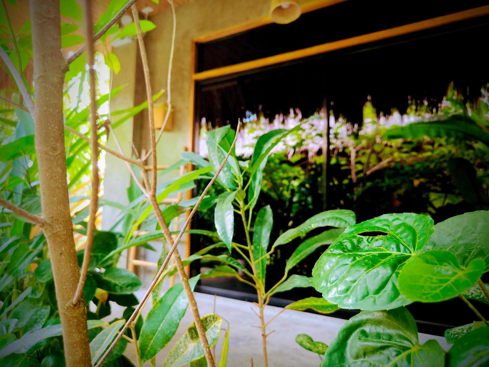 The Ohm Siargao Resort General Luna (Surigao del Norte) Exterior foto